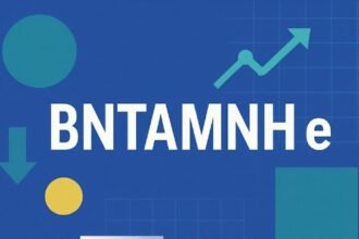 Bntamnh e: A Deep Dive Into Its Purpose and Potential