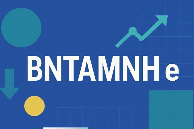 Bntamnh e: A Deep Dive Into Its Purpose and Potential