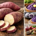 murasaki sweet potato